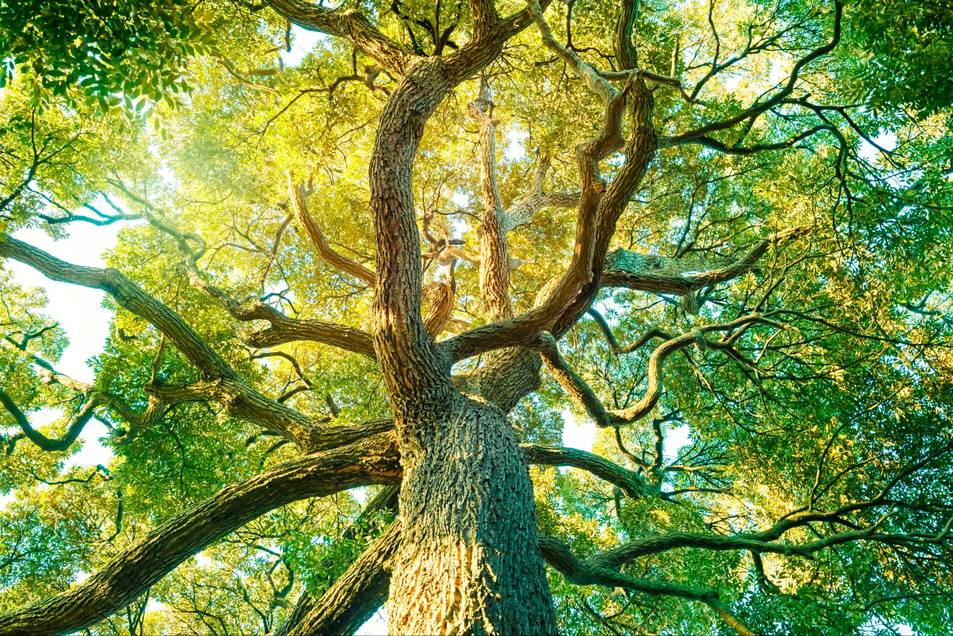 「GX フューチャー・コンソーシアム」、「GX フューチャー・リーグ」会員の募集を開始しました