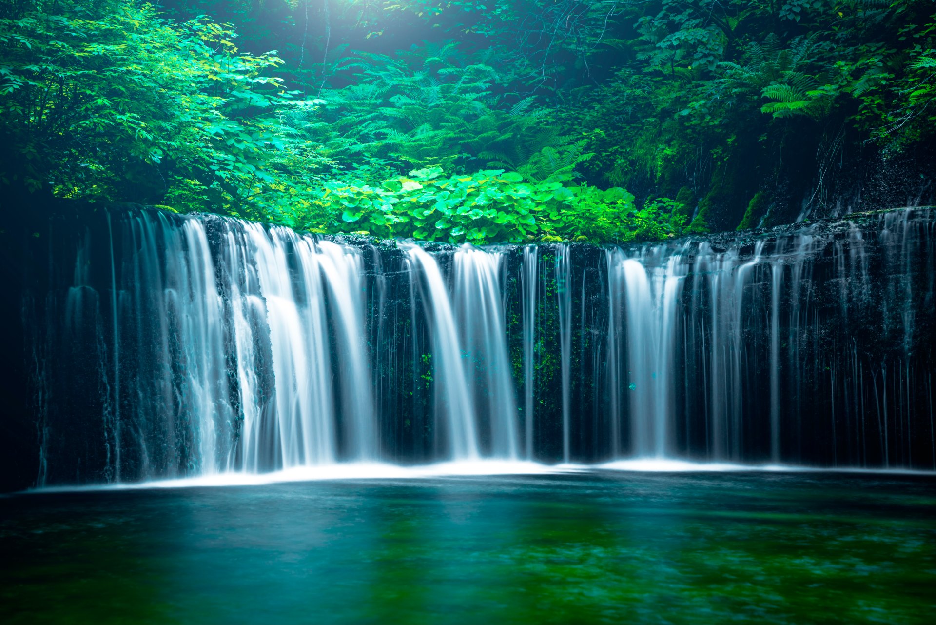 「中間排出事業者を通じたグリーン市場創造検討WG」が成果物を公表いたしました