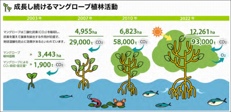 マングローブ植林によるカーボンニュートラルに向けた取り組み